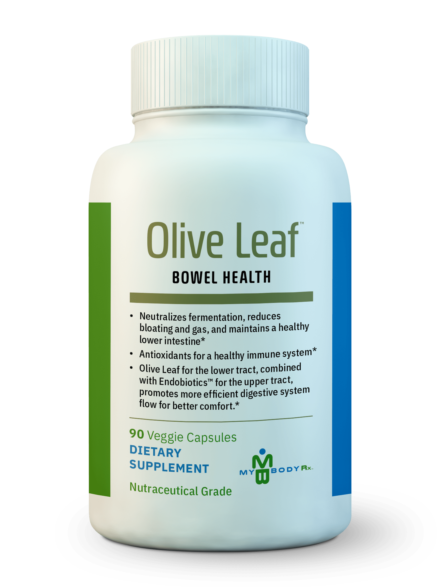 4-Olive Leaf PNG
